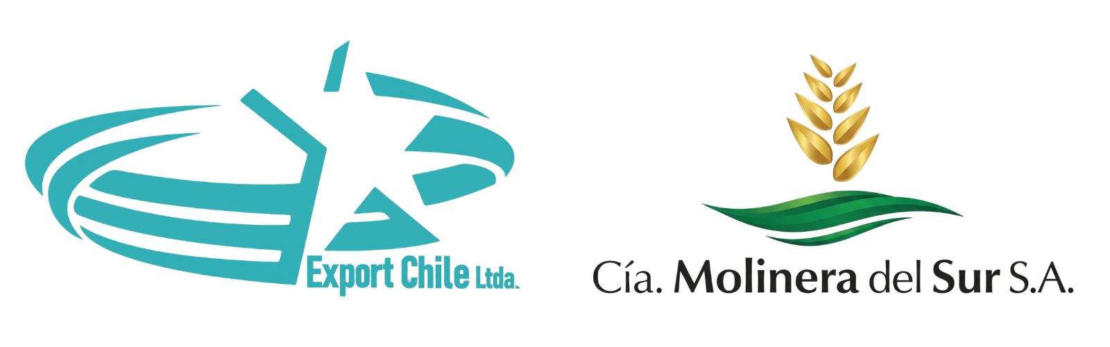 EXPORTADORA CHILE